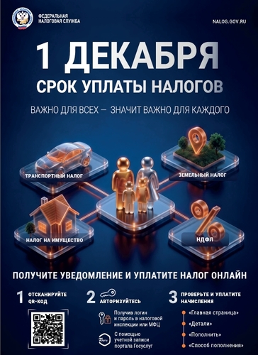 1 декабря - срок уплаты имущественных налогов
